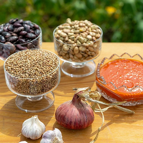 'Zemlja je živa stvar, s katero je treba sodelovat...