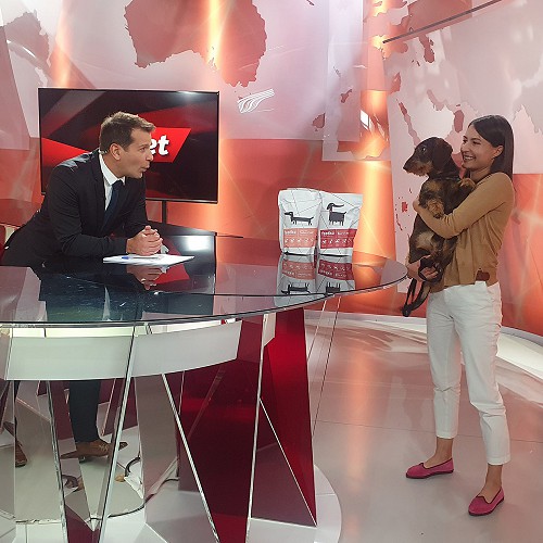 Feedko: kakovostna in naravna prehrane za naše najboljše prijatelje