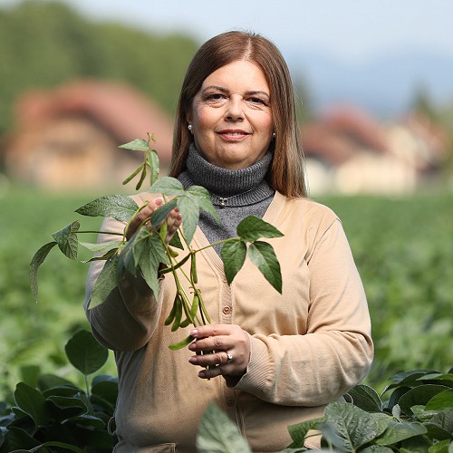 Kulinarično-zelena zgodba: od obroka za bolno prijateljico do njive ekološke soje brez GSO