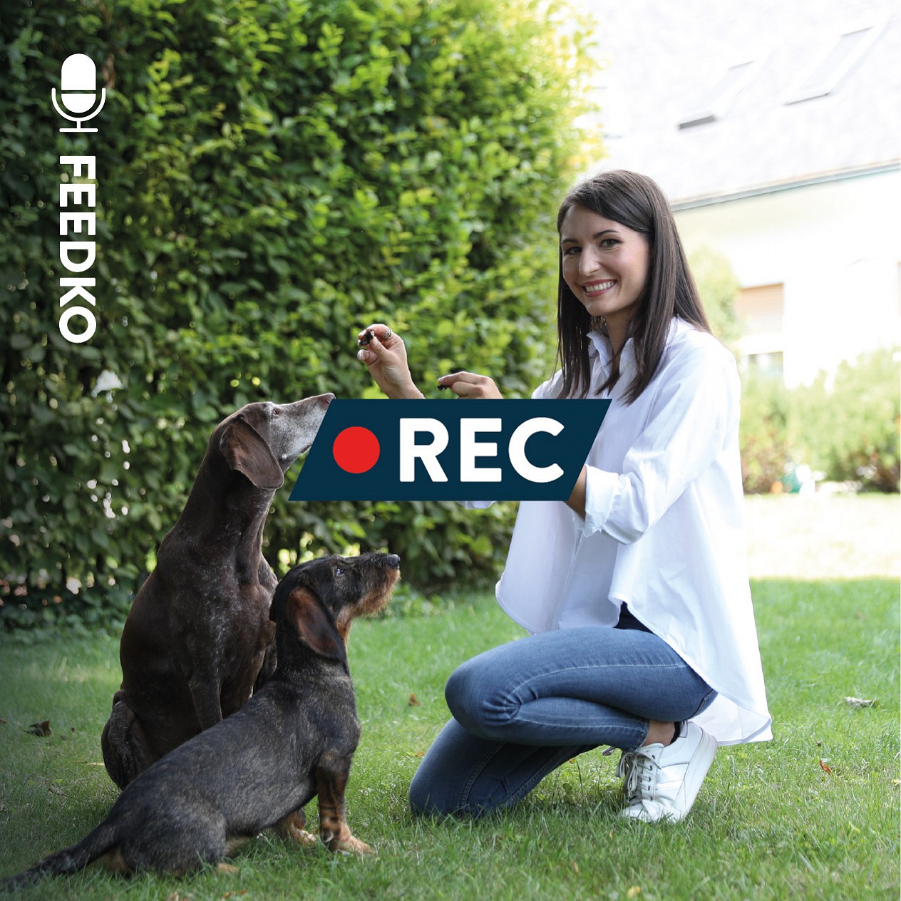 Vidcast Štartaj Slovenija: Feedko