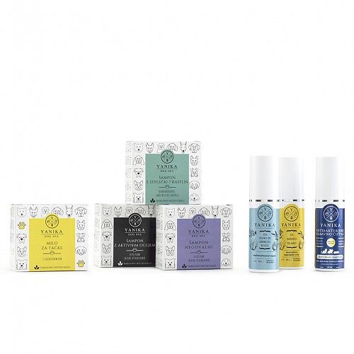 Na te stvari morate biti pozorni, ko se odločite za psa